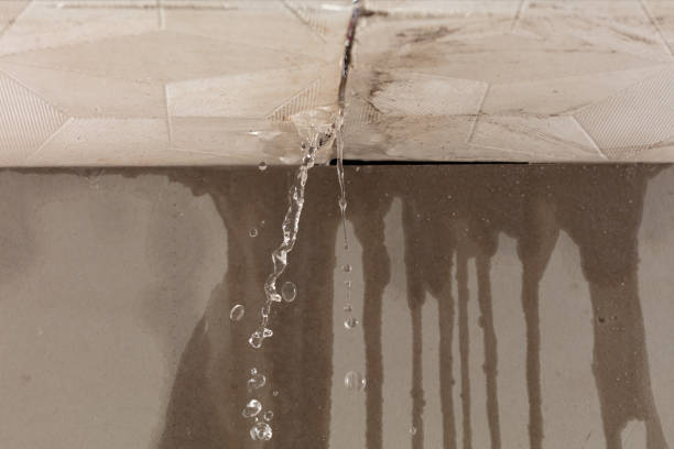 Professional Structural Drying technician working in Babson Park, MA